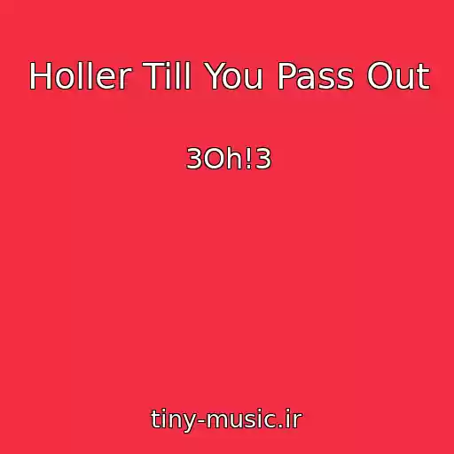 کاور آهنگ Holler Till You Pass Out از 3Oh!3
