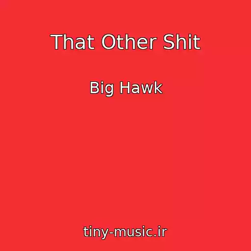 کاور آهنگ That Other Shit از Big Hawk