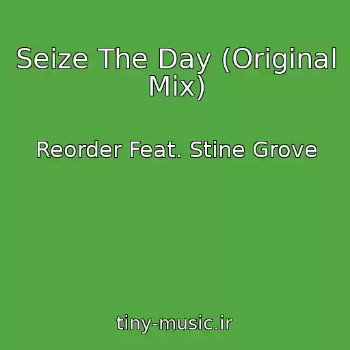 کاور آهنگ Seize The Day (Original Mix) از Reorder Feat. Stine Grove