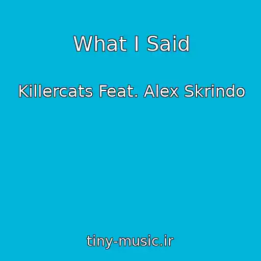 کاور آهنگ What I Said از Killercats Feat. Alex Skrindo