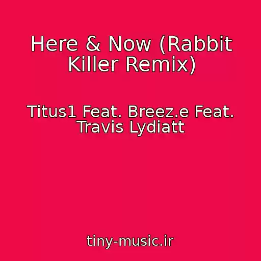 کاور آهنگ Here & Now (Rabbit Killer Remix) از Titus1 Feat. Breez.e Feat. Travis Lydiatt
