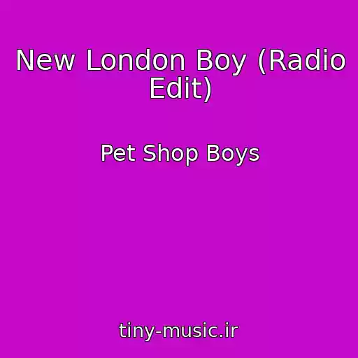 کاور آهنگ New London Boy (Radio Edit) از Pet Shop Boys