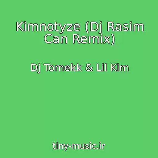 کاور آهنگ Kimnotyze (Dj Rasim Can Remix) از Dj Tomekk & Lil Kim