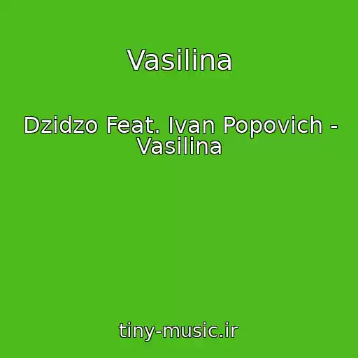 کاور آهنگ Vasilina از Dzidzo Feat. Ivan Popovich - Vasilina