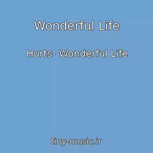 کاور آهنگ Wonderful Life از Hurts- Wonderful Life