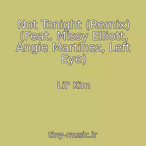کاور آهنگ Not Tonight (Remix) (Feat. Missy Elliott, Angie Martinez, Left Eye) از Lil' Kim
