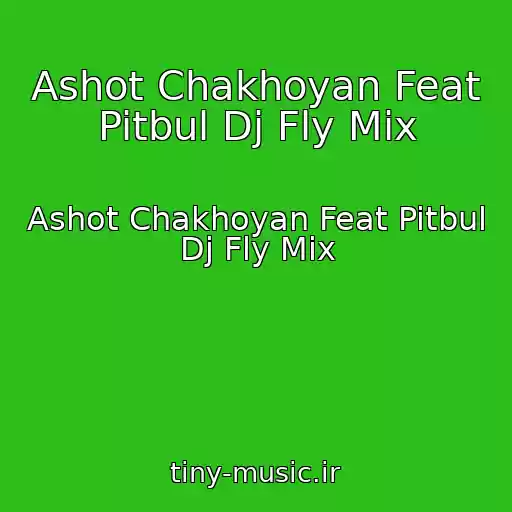کاور آهنگ Ashot Chakhoyan Feat Pitbul Dj Fly Mix از Ashot Chakhoyan Feat Pitbul Dj Fly Mix