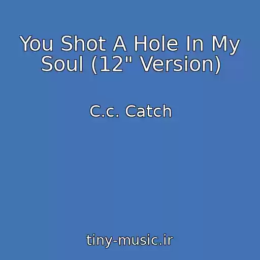 کاور آهنگ You Shot A Hole In My Soul (12" Version) از C.c. Catch