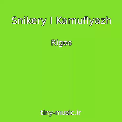 کاور آهنگ Snikery I Kamuflyazh از Rigos