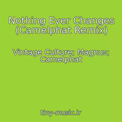 کاور آهنگ Nothing Ever Changes (Camelphat Remix) از Vintage Culture; Magnus; Camelphat