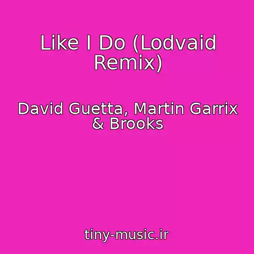 کاور آهنگ Like I Do (Lodvaid Remix) از David Guetta, Martin Garrix & Brooks