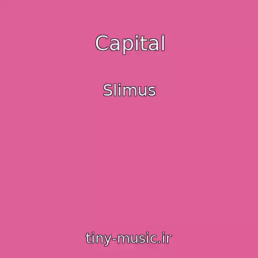 کاور آهنگ Capital از Slimus