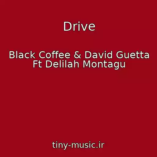 کاور آهنگ Drive از Black Coffee & David Guetta Ft Delilah Montagu