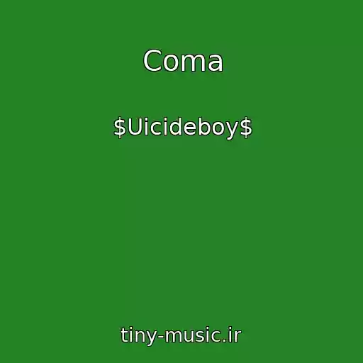 کاور آهنگ Coma از $Uicideboy$