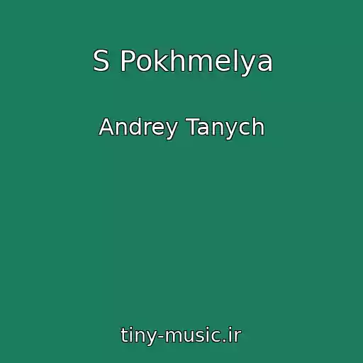 کاور آهنگ S Pokhmelya از Andrey Tanych