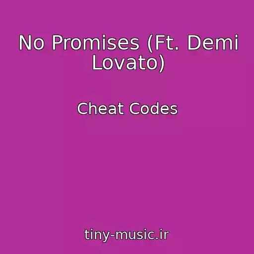 کاور آهنگ No Promises (Ft. Demi Lovato) از Cheat Codes