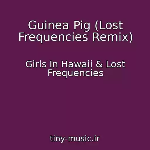 کاور آهنگ Guinea Pig (Lost Frequencies Remix) از Girls In Hawaii & Lost Frequencies