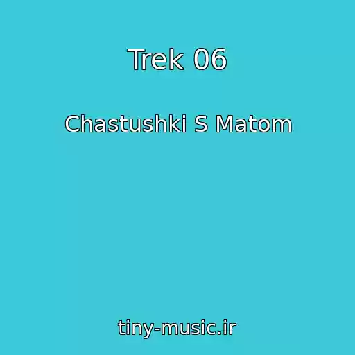کاور آهنگ Trek 06 از Chastushki S Matom