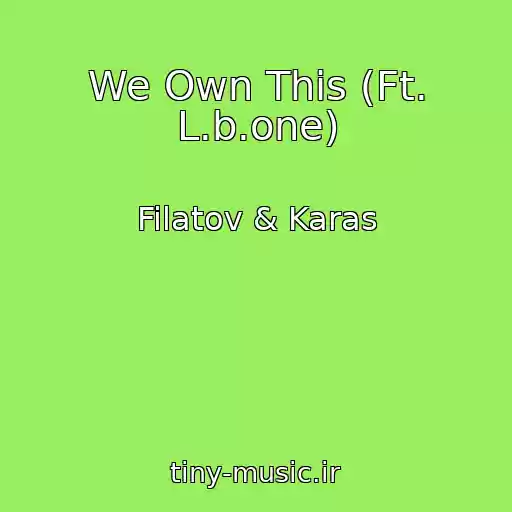 کاور آهنگ We Own This (Ft. L.b.one) از Filatov & Karas