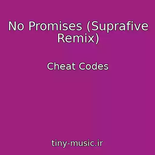 کاور آهنگ No Promises (Suprafive Remix) از Cheat Codes