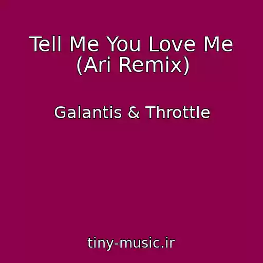 کاور آهنگ Tell Me You Love Me (Ari Remix) از Galantis & Throttle
