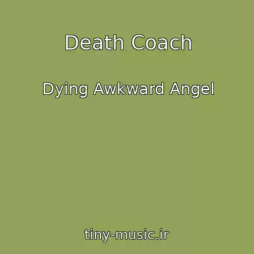 کاور آهنگ Death Coach از Dying Awkward Angel