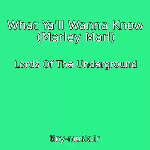 کاور آهنگ What Ya'll Wanna Know (Marley Marl) از Lords Of The Underground