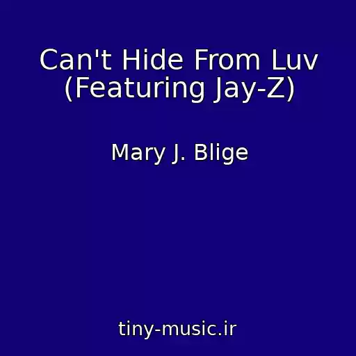 کاور آهنگ Can't Hide From Luv (Featuring Jay-Z) از Mary J. Blige
