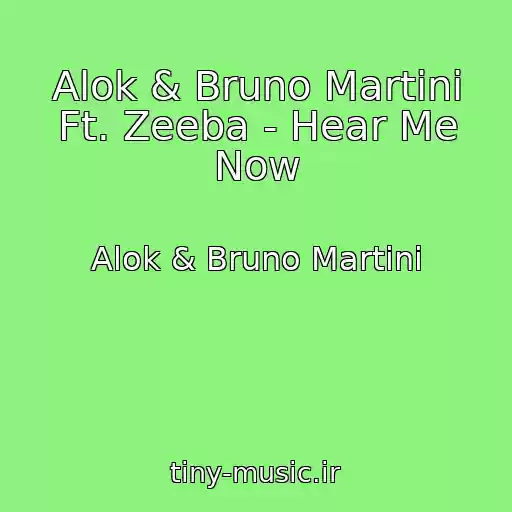 کاور آهنگ Alok & Bruno Martini Ft. Zeeba - Hear Me Now از Alok & Bruno Martini
