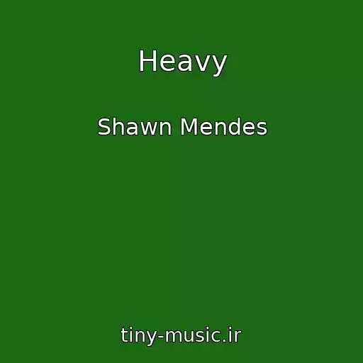 کاور آهنگ Heavy از Shawn Mendes