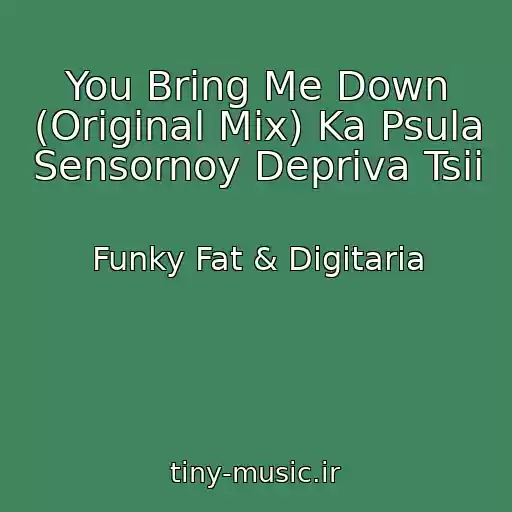 کاور آهنگ You Bring Me Down (Original Mix) Ka Psula Sensornoy Depriva Tsii از Funky Fat & Digitaria