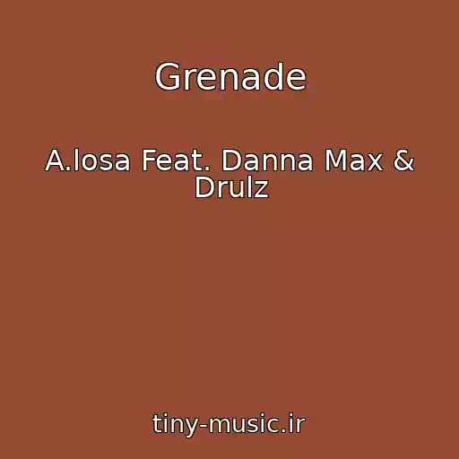کاور آهنگ Grenade از A.losa Feat. Danna Max & Drulz