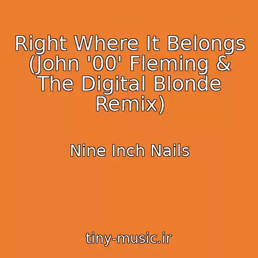 کاور آهنگ Right Where It Belongs (John '00' Fleming & The Digital Blonde Remix) از Nine Inch Nails