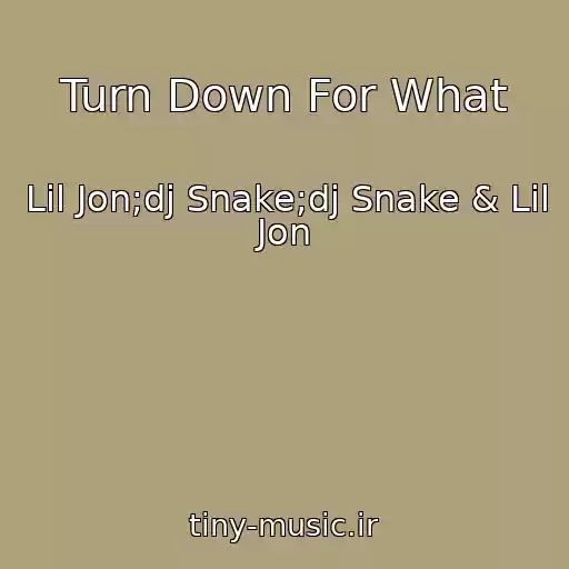 کاور آهنگ Turn Down For What از Lil Jon;dj Snake;dj Snake & Lil Jon