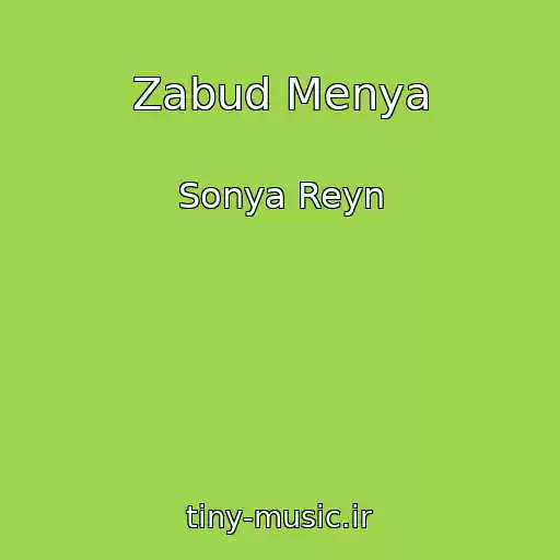 کاور آهنگ Zabud Menya از Sonya Reyn
