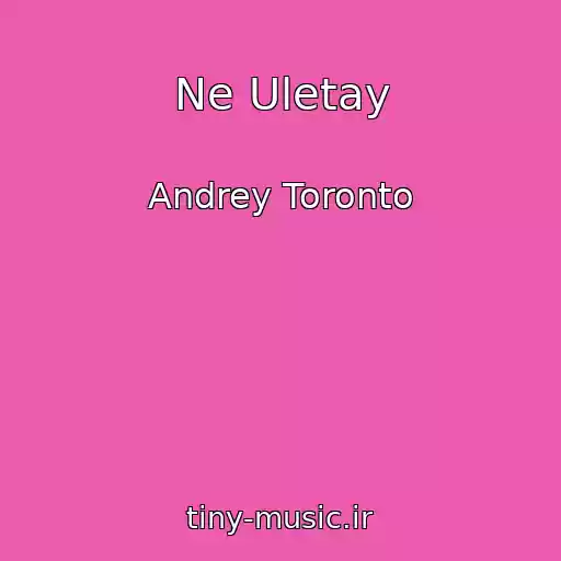 کاور آهنگ Ne Uletay از Andrey Toronto