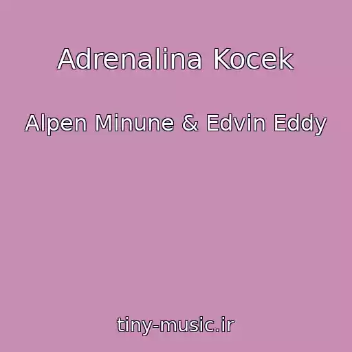 کاور آهنگ Adrenalina Kocek از Alpen Minune & Edvin Eddy