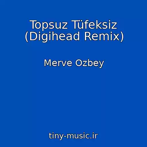 کاور آهنگ Topsuz Tüfeksiz (Digihead Remix) از Merve Ozbey