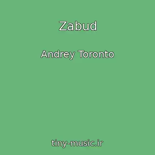 کاور آهنگ Zabud از Andrey Toronto
