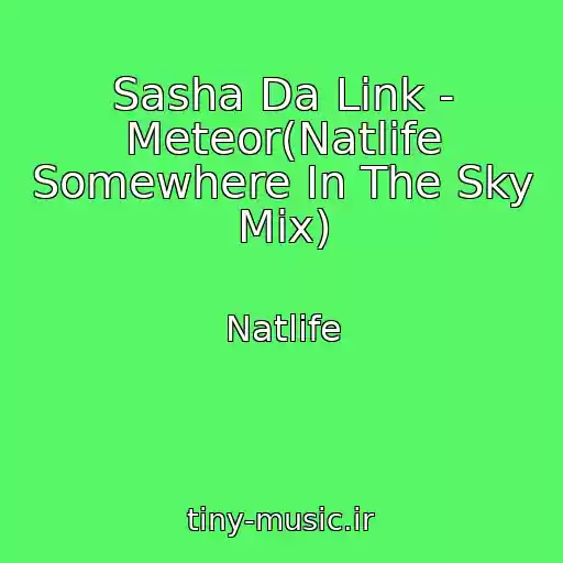 کاور آهنگ Sasha Da Link - Meteor(Natlife Somewhere In The Sky Mix) از Natlife