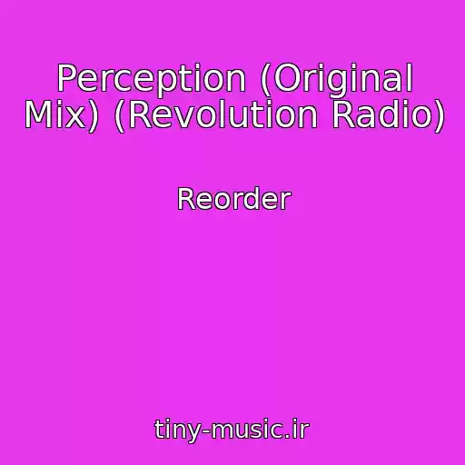 کاور آهنگ Perception (Original Mix) (Revolution Radio) از Reorder