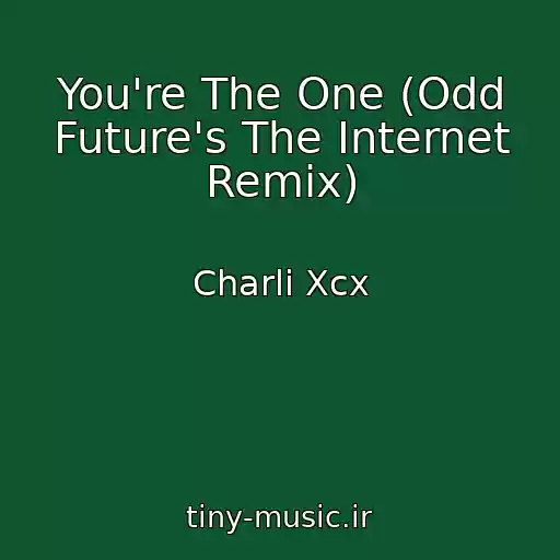 کاور آهنگ You're The One (Odd Future's The Internet Remix) از Charli Xcx
