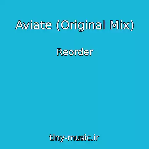 کاور آهنگ Aviate (Original Mix) از Reorder
