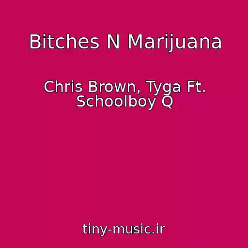 کاور آهنگ Bitches N Marijuana از Chris Brown, Tyga Ft. Schoolboy Q