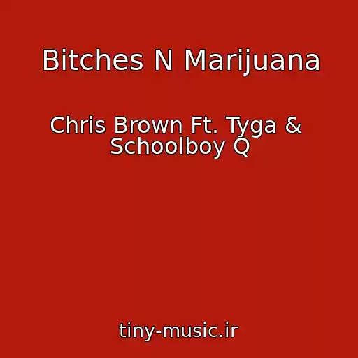 کاور آهنگ Bitches N Marijuana از Chris Brown Ft. Tyga &  Schoolboy Q