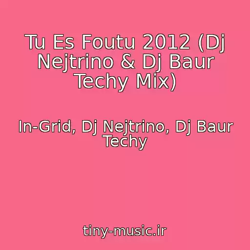 کاور آهنگ Tu Es Foutu 2012 (Dj Nejtrino & Dj Baur Techy Mix) از In-Grid, Dj Nejtrino, Dj Baur Techy