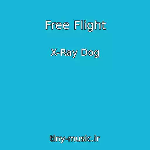 کاور آهنگ Free Flight از X-Ray Dog