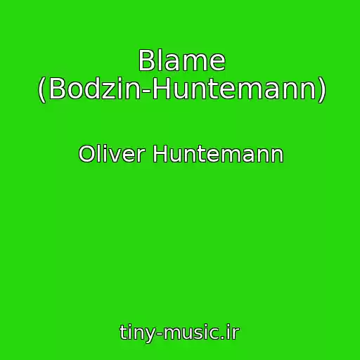 کاور آهنگ Blame (Bodzin-Huntemann) از Oliver Huntemann