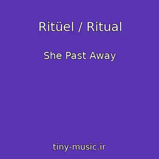 کاور آهنگ Ritüel / Ritual از She Past Away