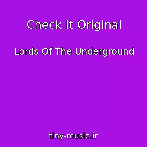 کاور آهنگ Check It Original از Lords Of The Underground